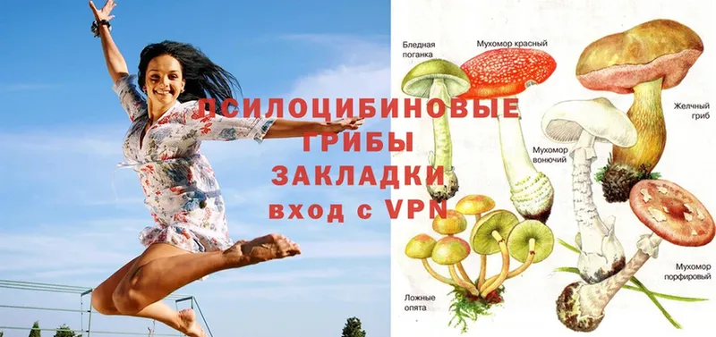 Псилоцибиновые грибы Psilocybe  mega онион  Нелидово 